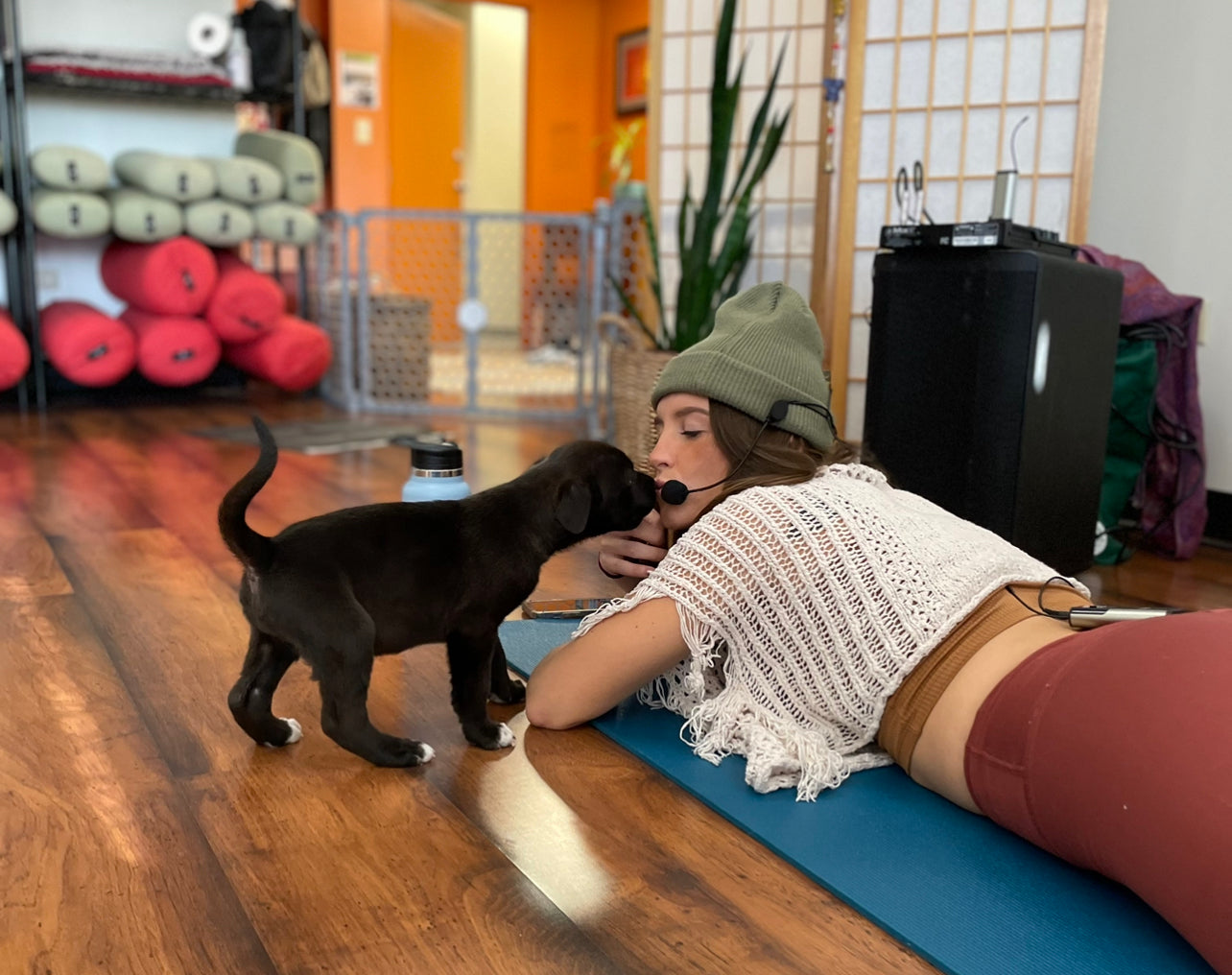 Rescue Puppy Yoga - Advent Health *Private Link*