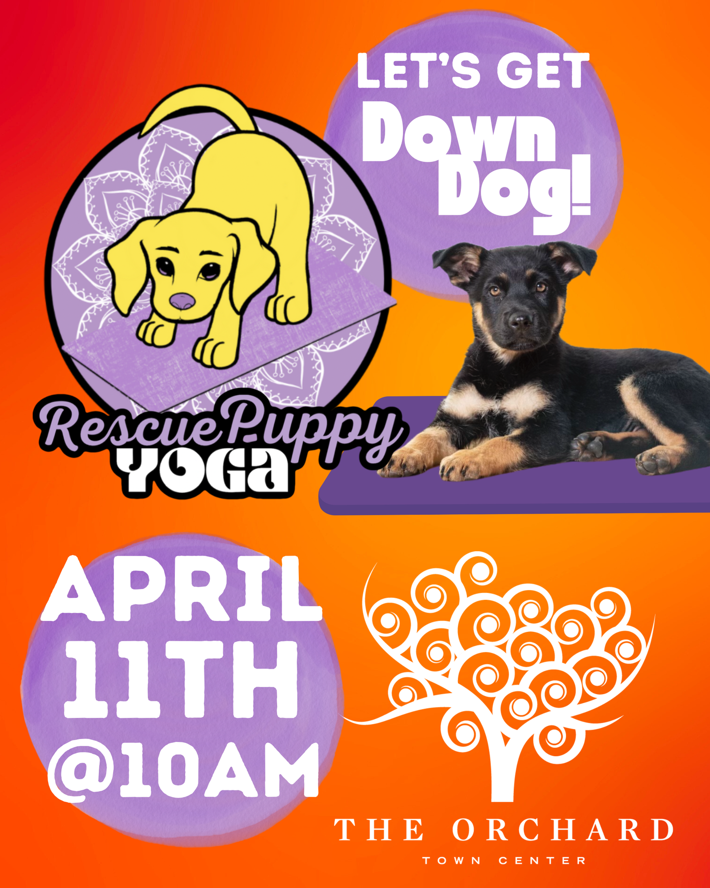 Rescue Puppy Yoga - The Orchard Town Center