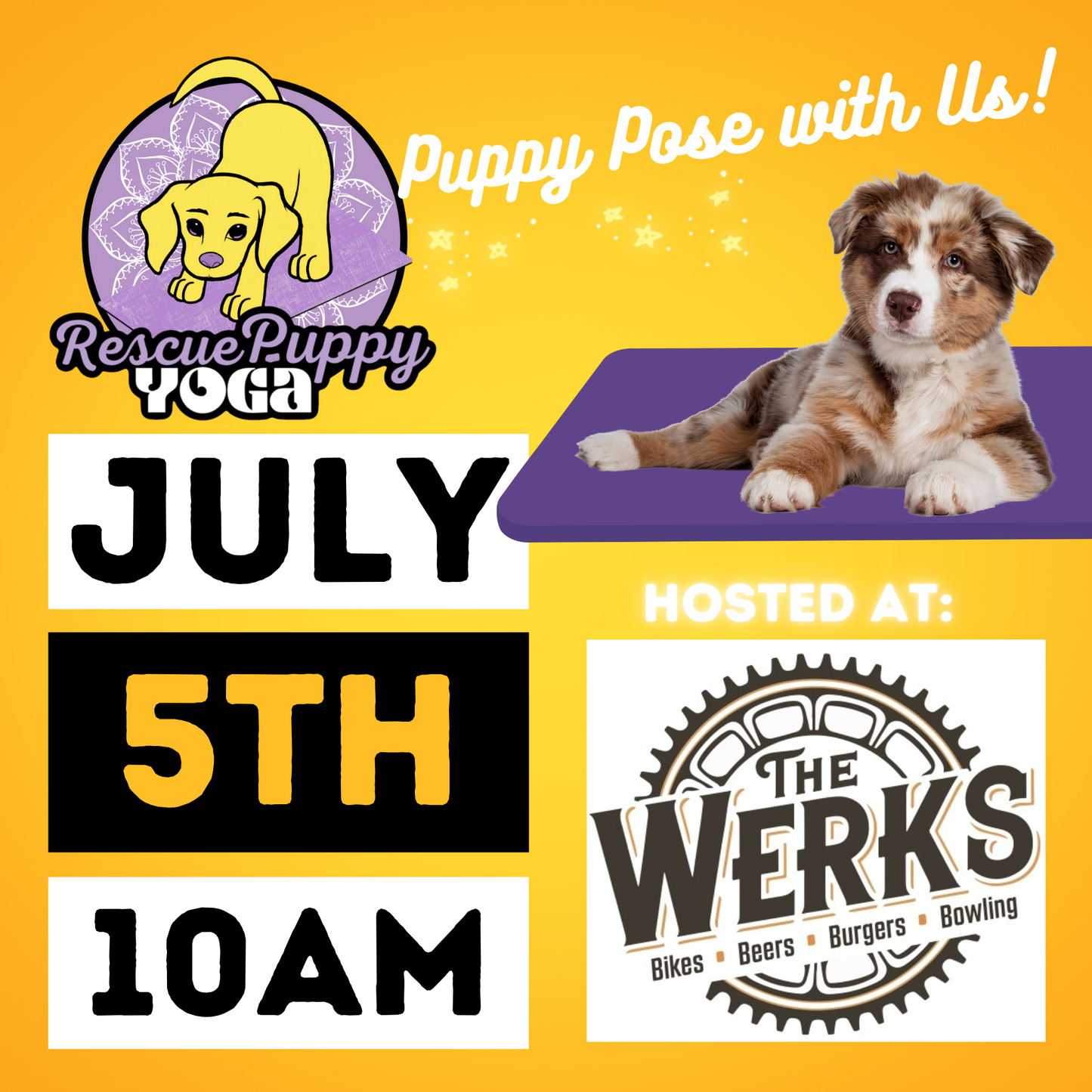 Rescue Puppy Yoga - The Werks