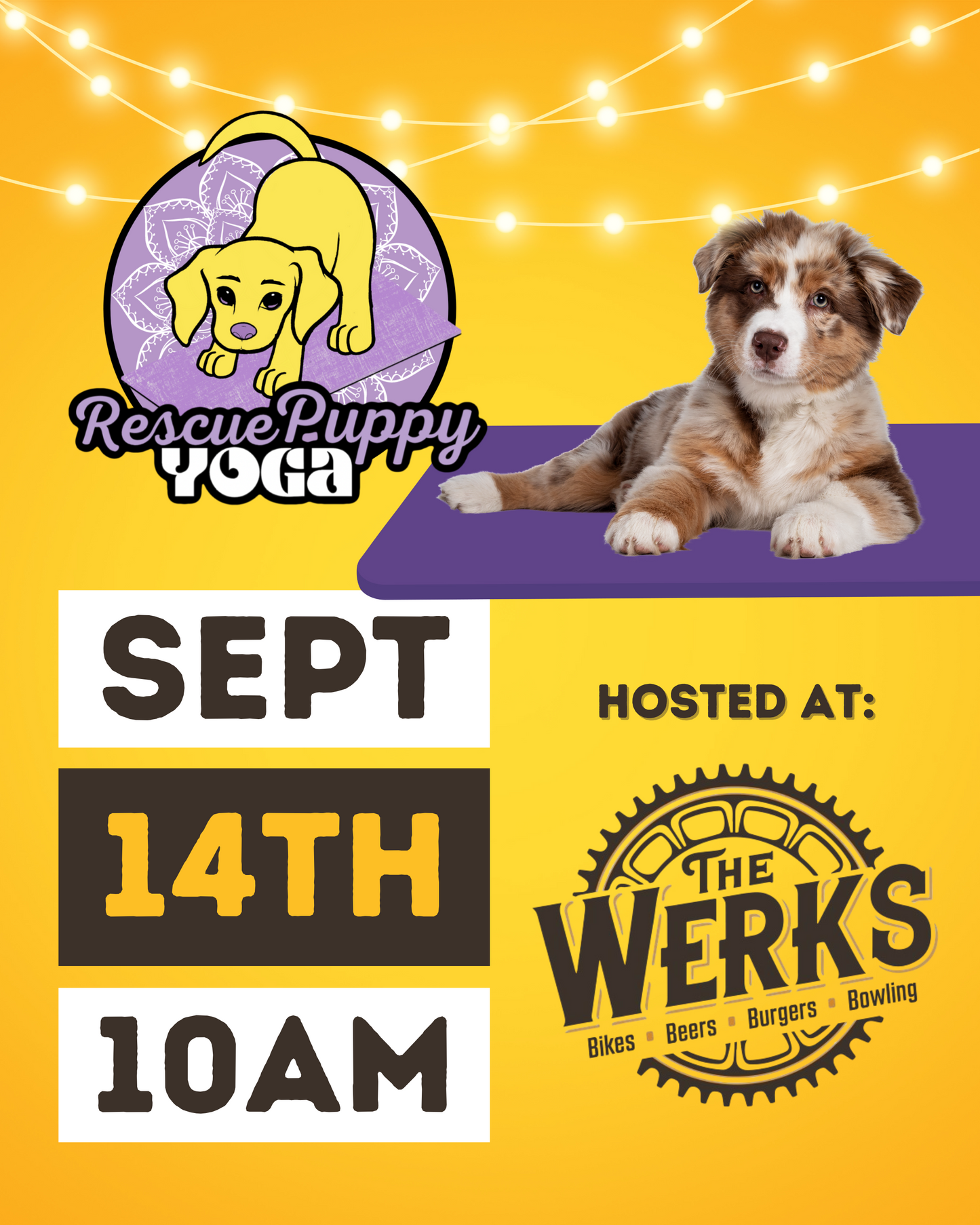 Rescue Puppy Yoga - The Werks