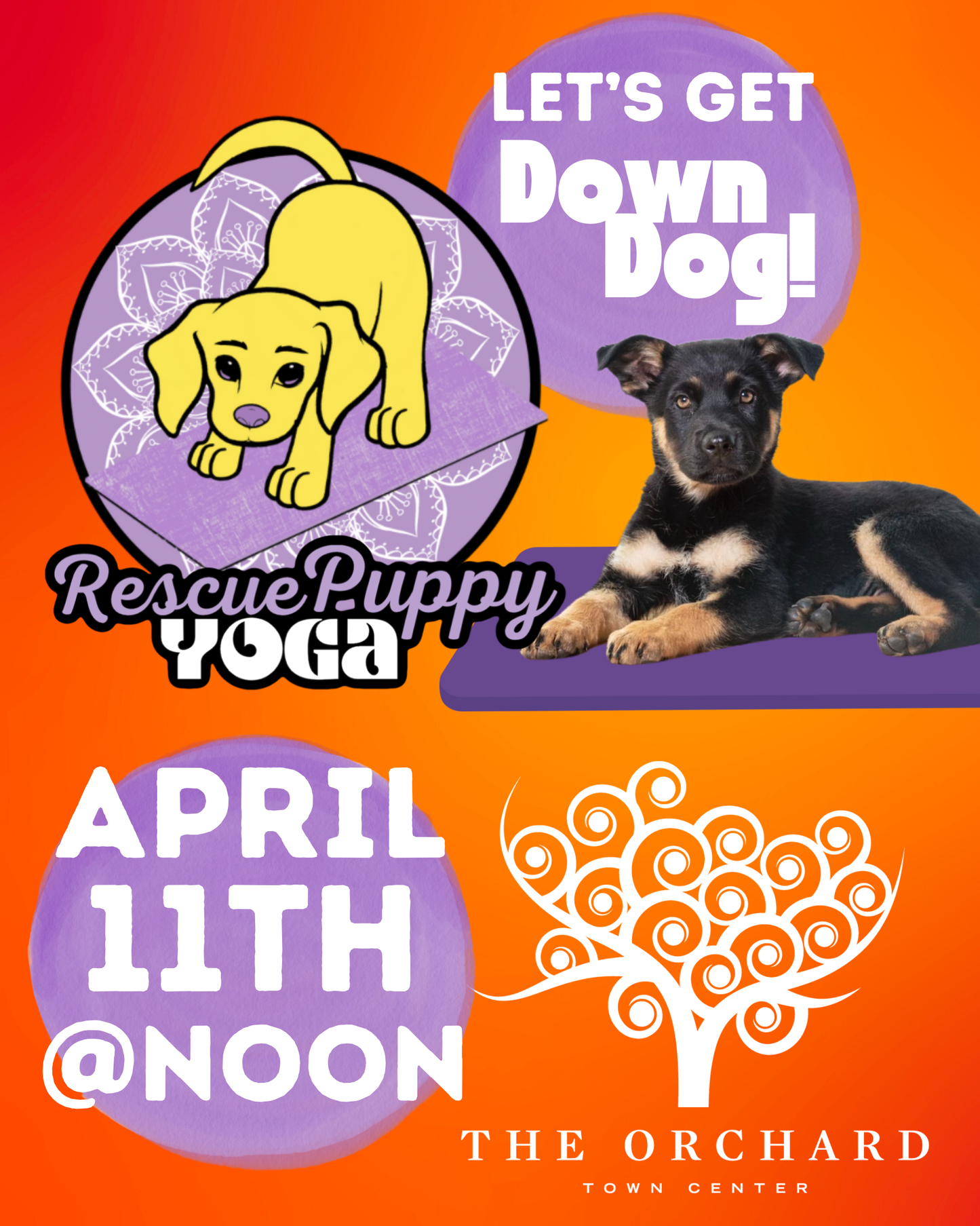 Rescue Puppy Yoga - The Orchard Town Center