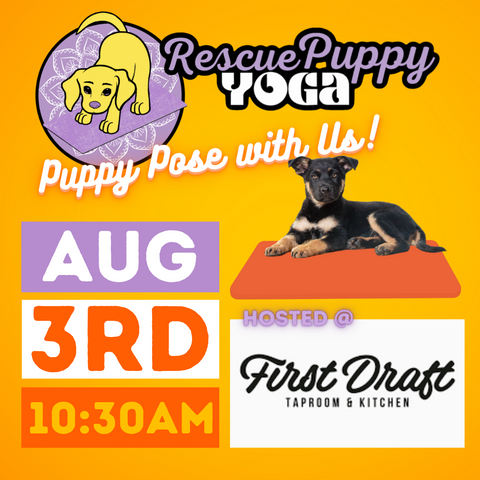 Rescue Puppy Yoga - First Draft Denver
