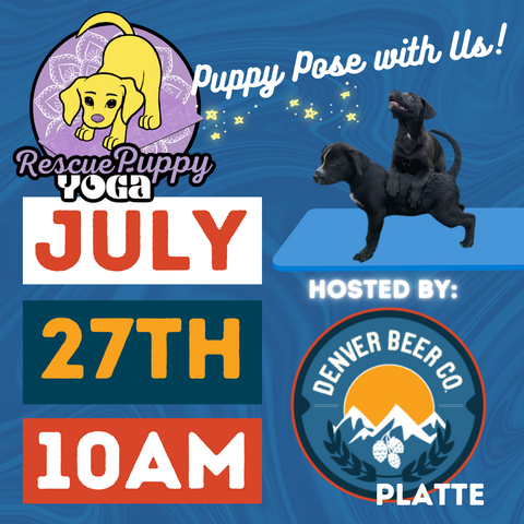 Rescue Puppy Yoga - Denver Beer Co. Platte