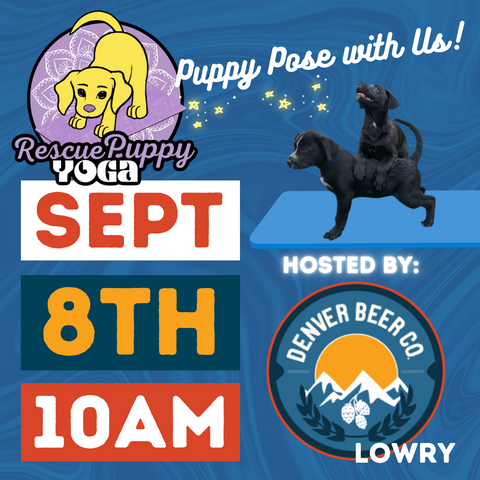 Rescue Puppy Yoga - Denver Beer Co. Lowry