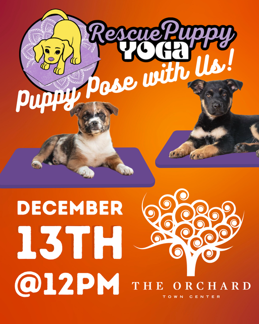 Rescue Puppy Yoga - The Orchard Town Center