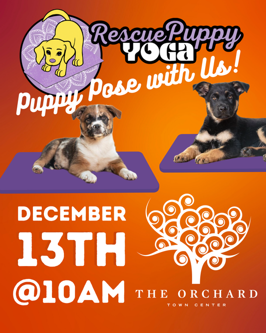 Rescue Puppy Yoga - The Orchard Town Center