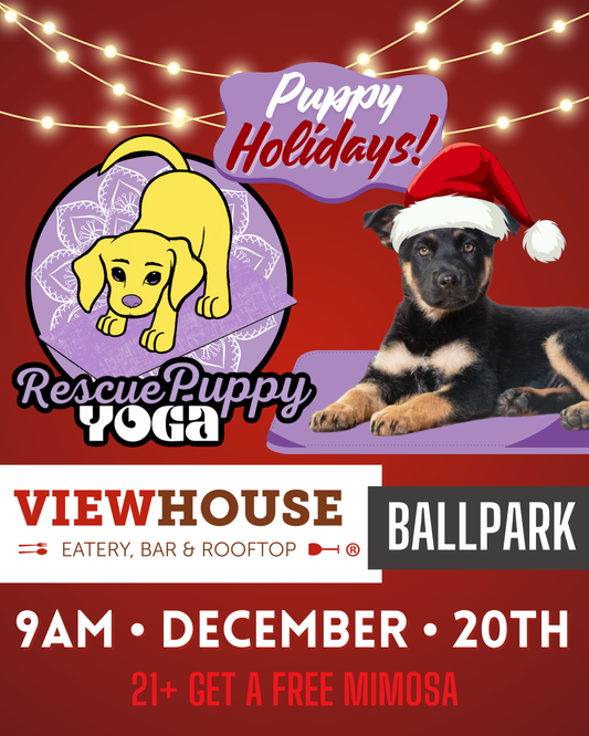 Rescue Puppy Yoga - ViewHouse Ballpark