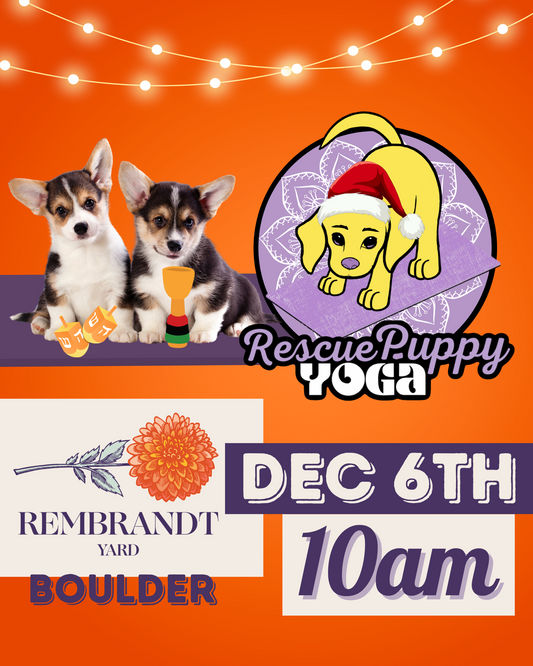 Rescue Puppy Yoga - Rembrandt Yard Boulder