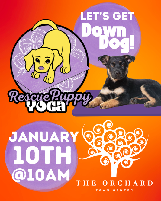 Rescue Puppy Yoga - The Orchard Town Center