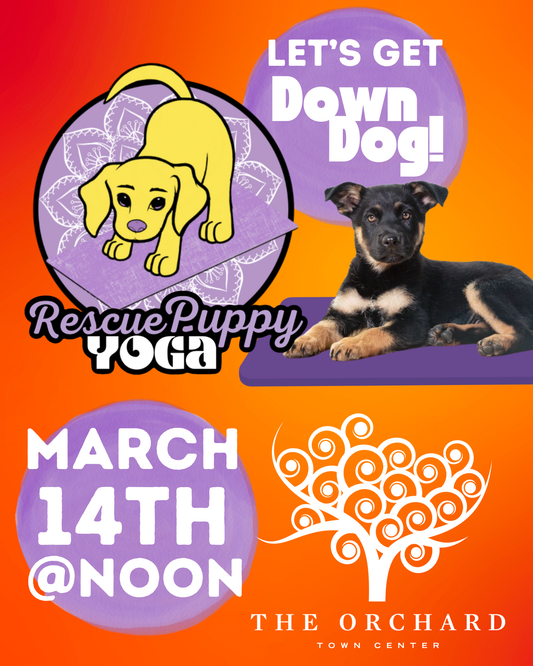 Rescue Puppy Yoga - The Orchard Town Center
