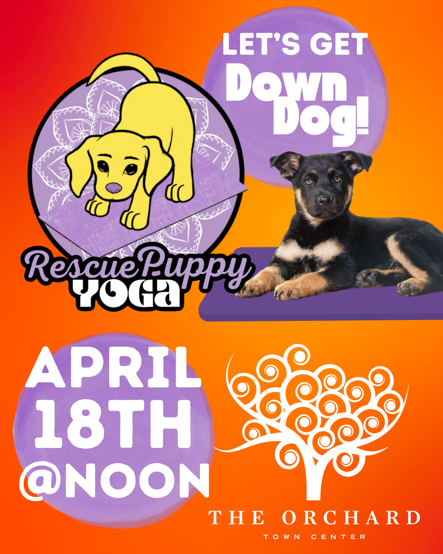 Rescue Puppy Yoga - The Orchard Town Center