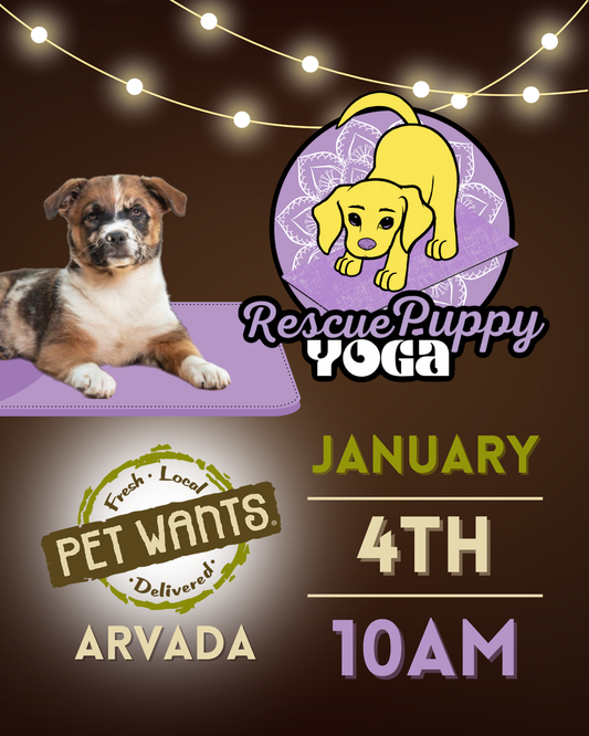 Rescue Puppy Yoga - Pet Wants Arvada