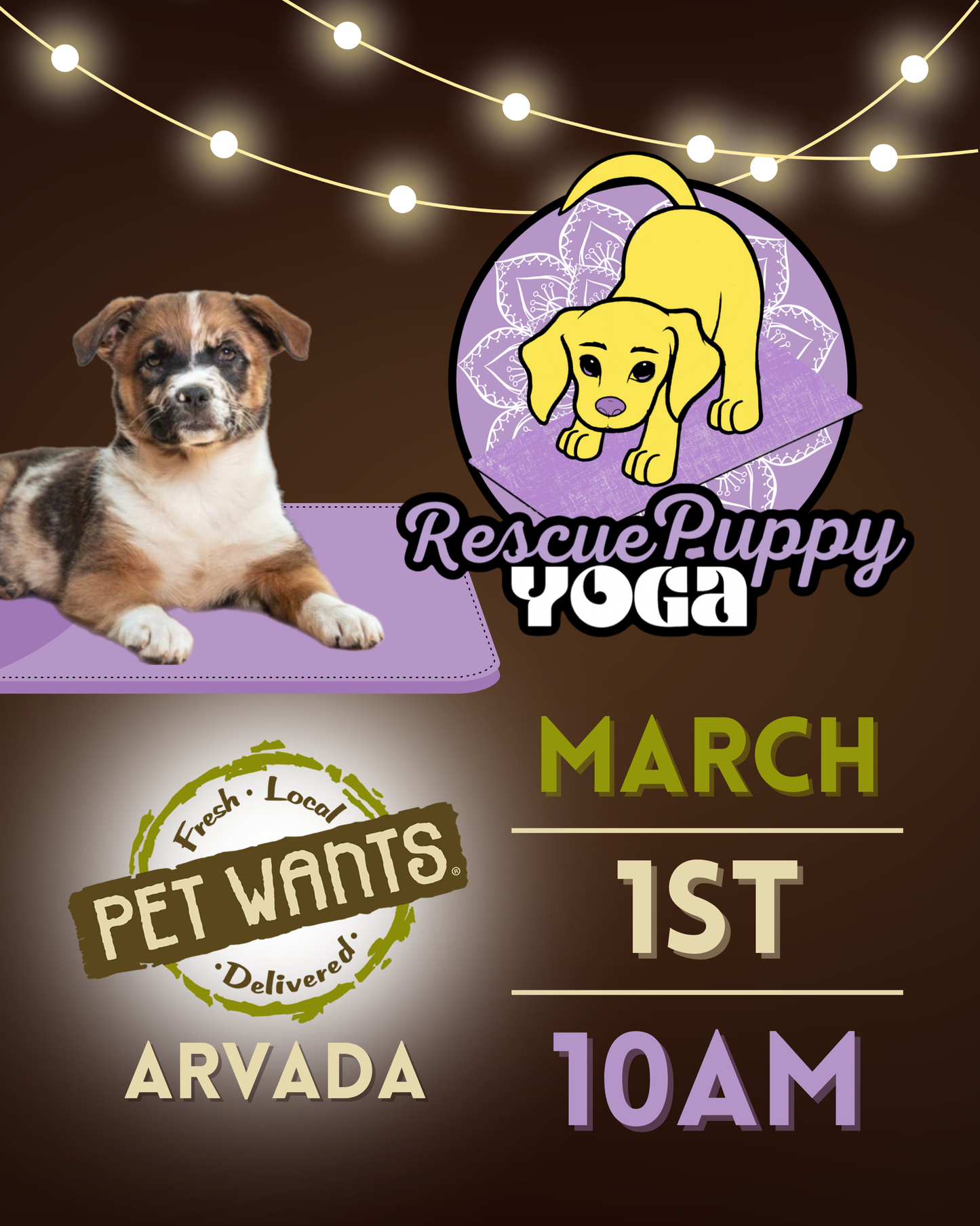 Rescue Puppy Yoga - Pet Wants Arvada
