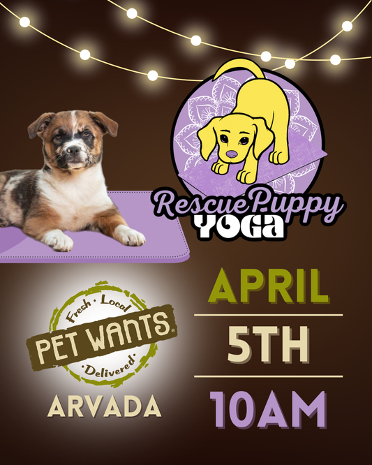 Rescue Puppy Yoga - Pet Wants Arvada