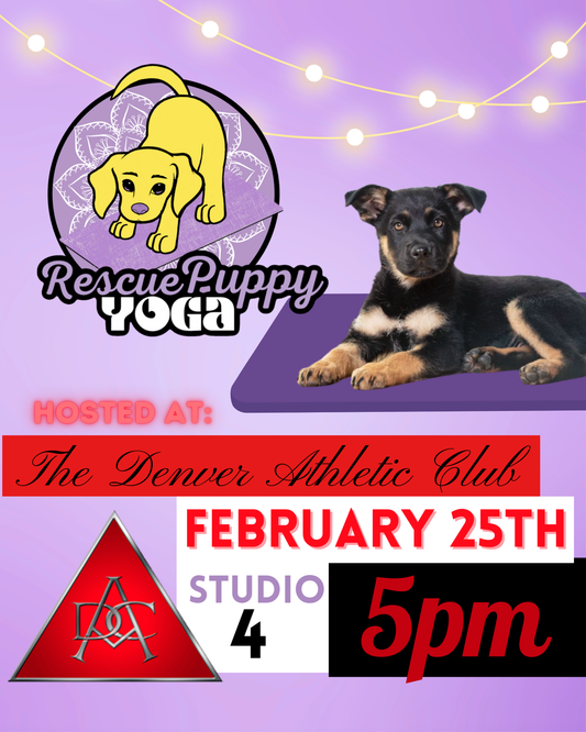 Rescue Puppy Yoga - The Denver Athletic Club