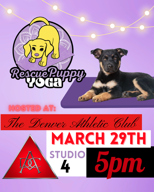 Rescue Puppy Yoga - The Denver Athletic Club