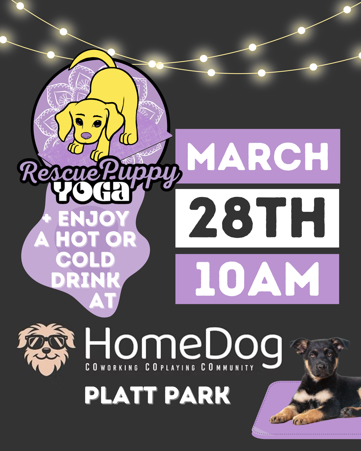 Rescue Puppy Yoga with Drink Included! - HomeDog