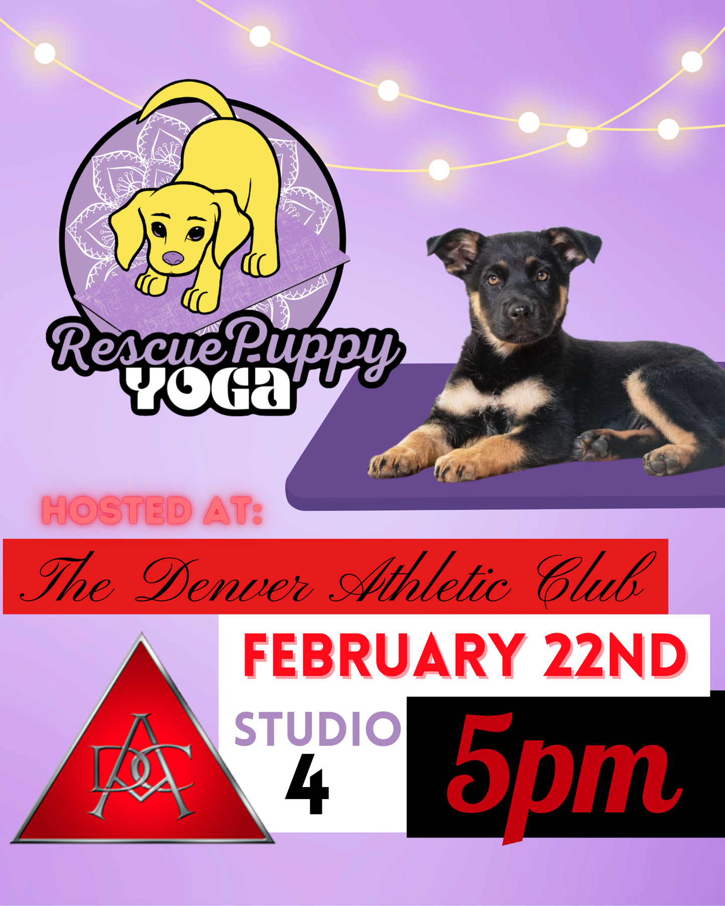 Rescue Puppy Yoga - The Denver Athletic Club