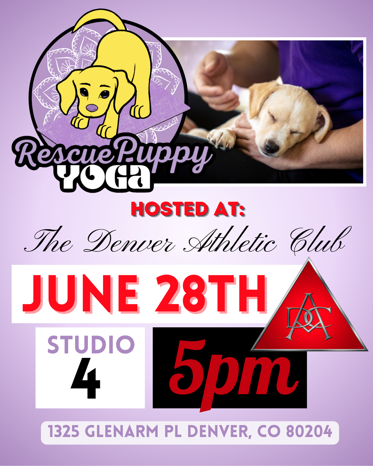 Rescue Puppy Yoga - The Denver Athletic Club