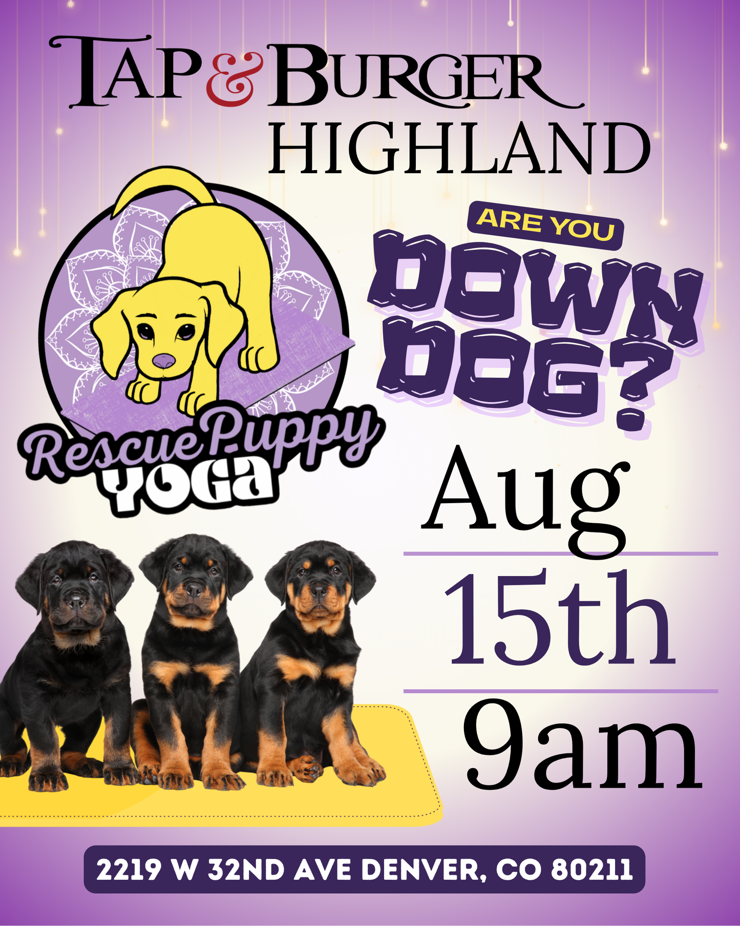Rescue Puppy Yoga - Highland Tap & Burger