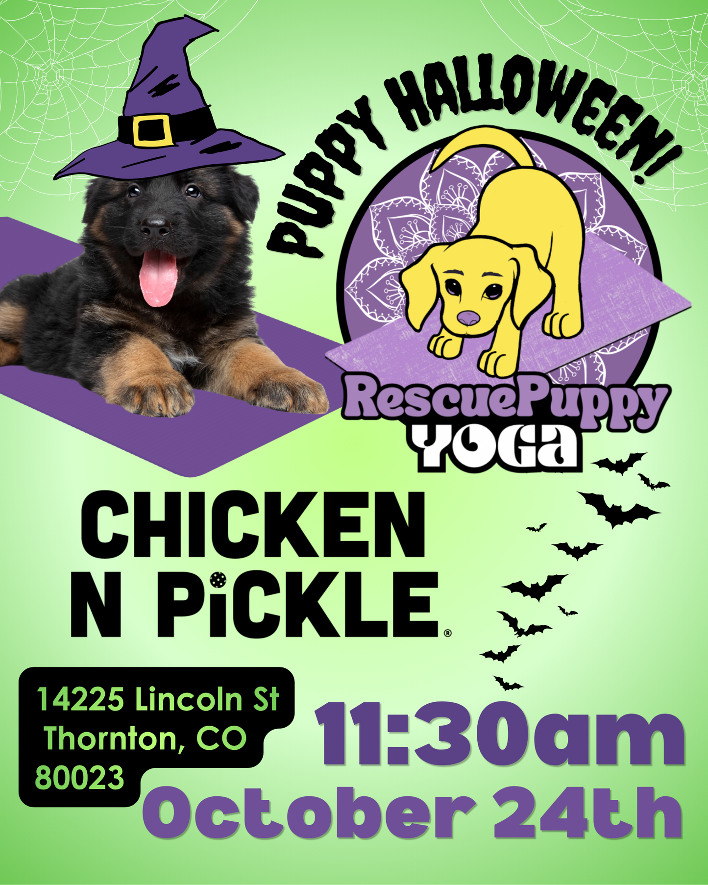 Rescue Puppy Yoga - Chicken N Pickle