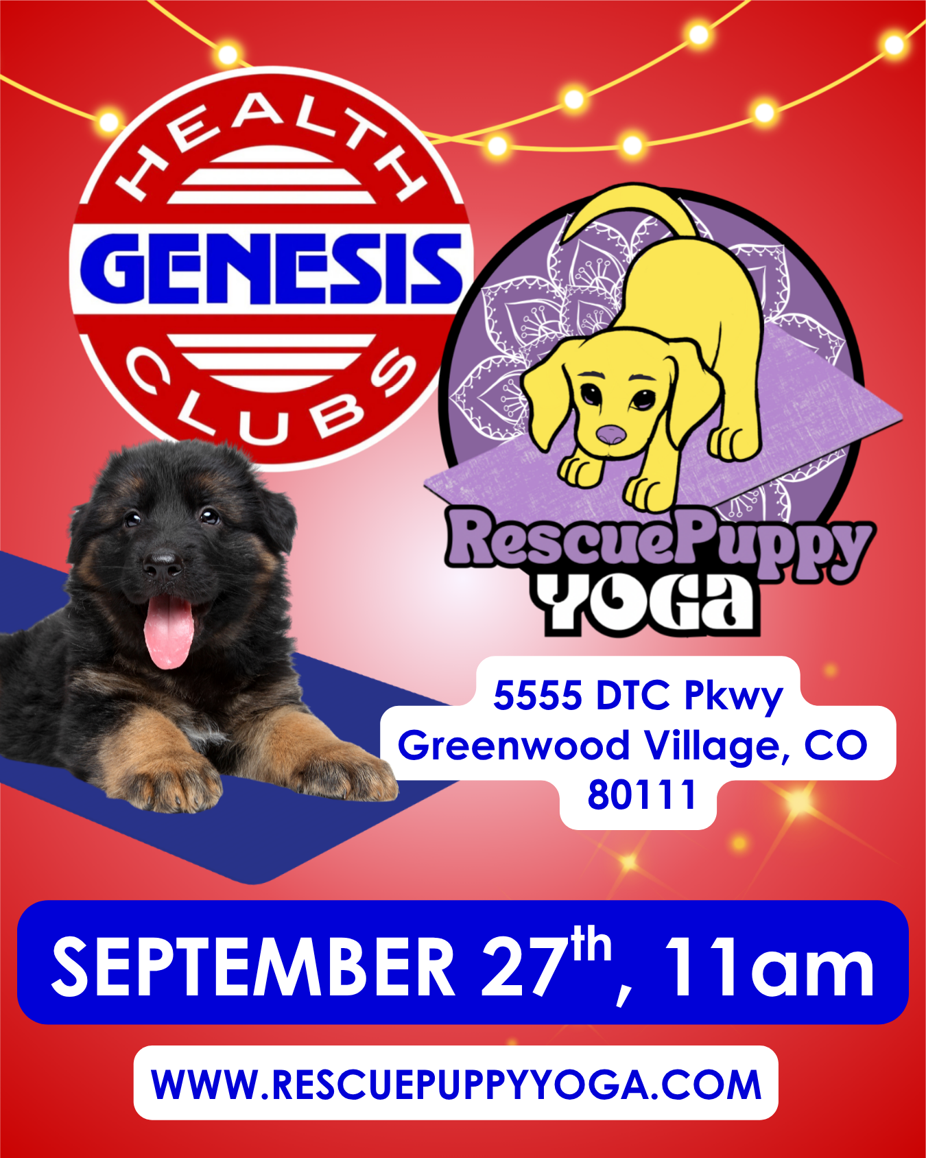 Rescue Puppy Yoga - Colorado Athletic Club Denver Tech Center