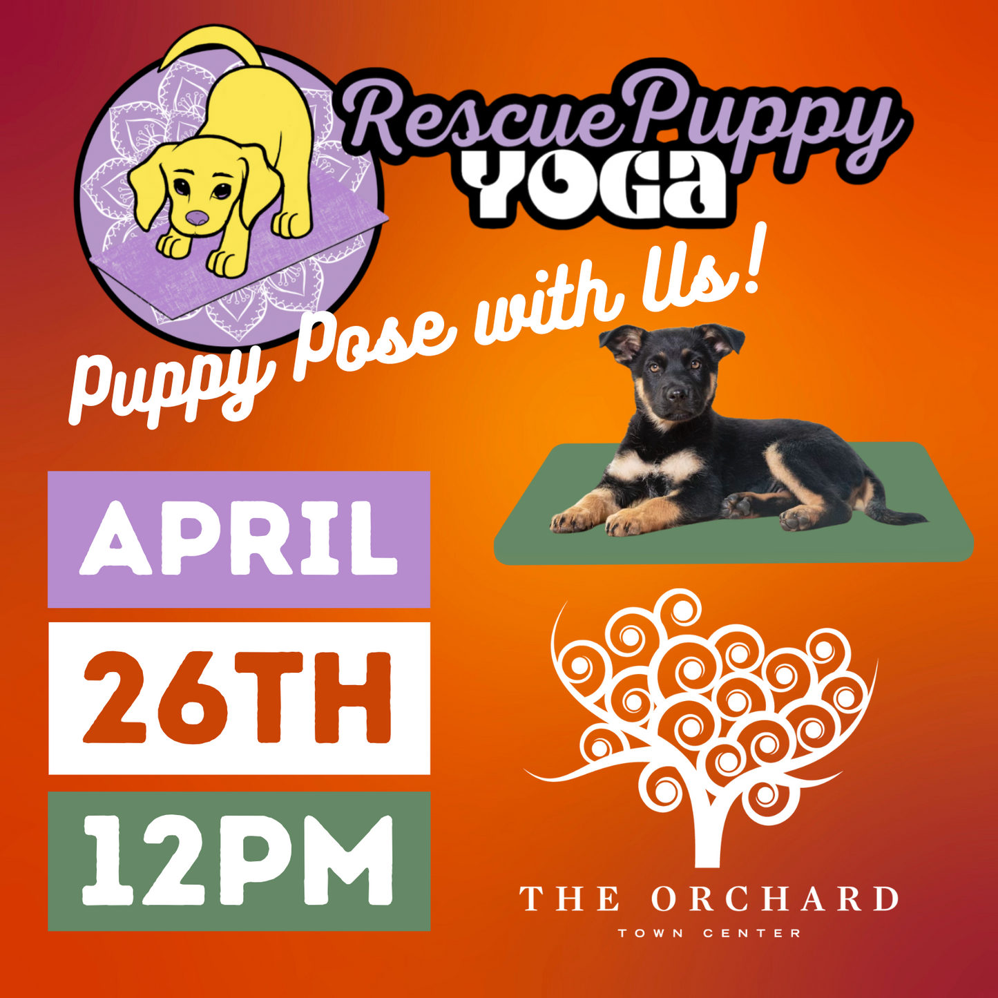 Rescue Puppy Yoga - The Orchard Town Center