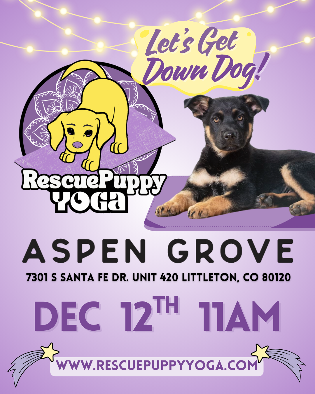 Rescue Puppy Yoga - Aspen Grove Littleton