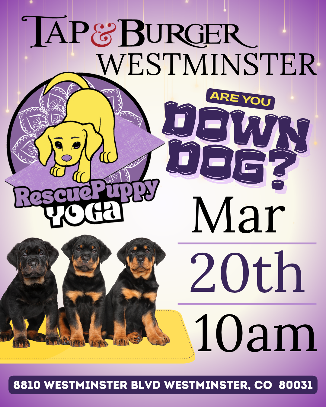 Rescue Puppy Yoga - Tap & Burger Westminster