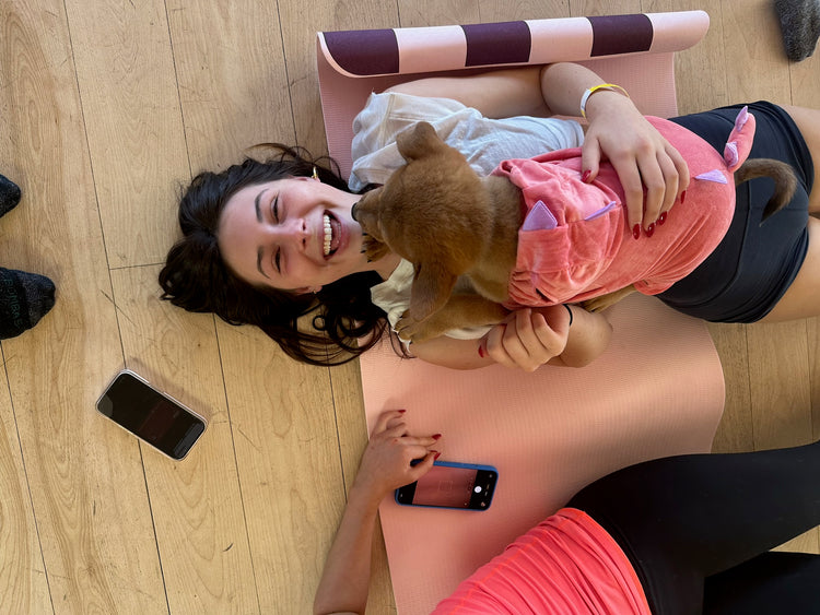 STRIDE Fitness + YogaSix Arapahoe