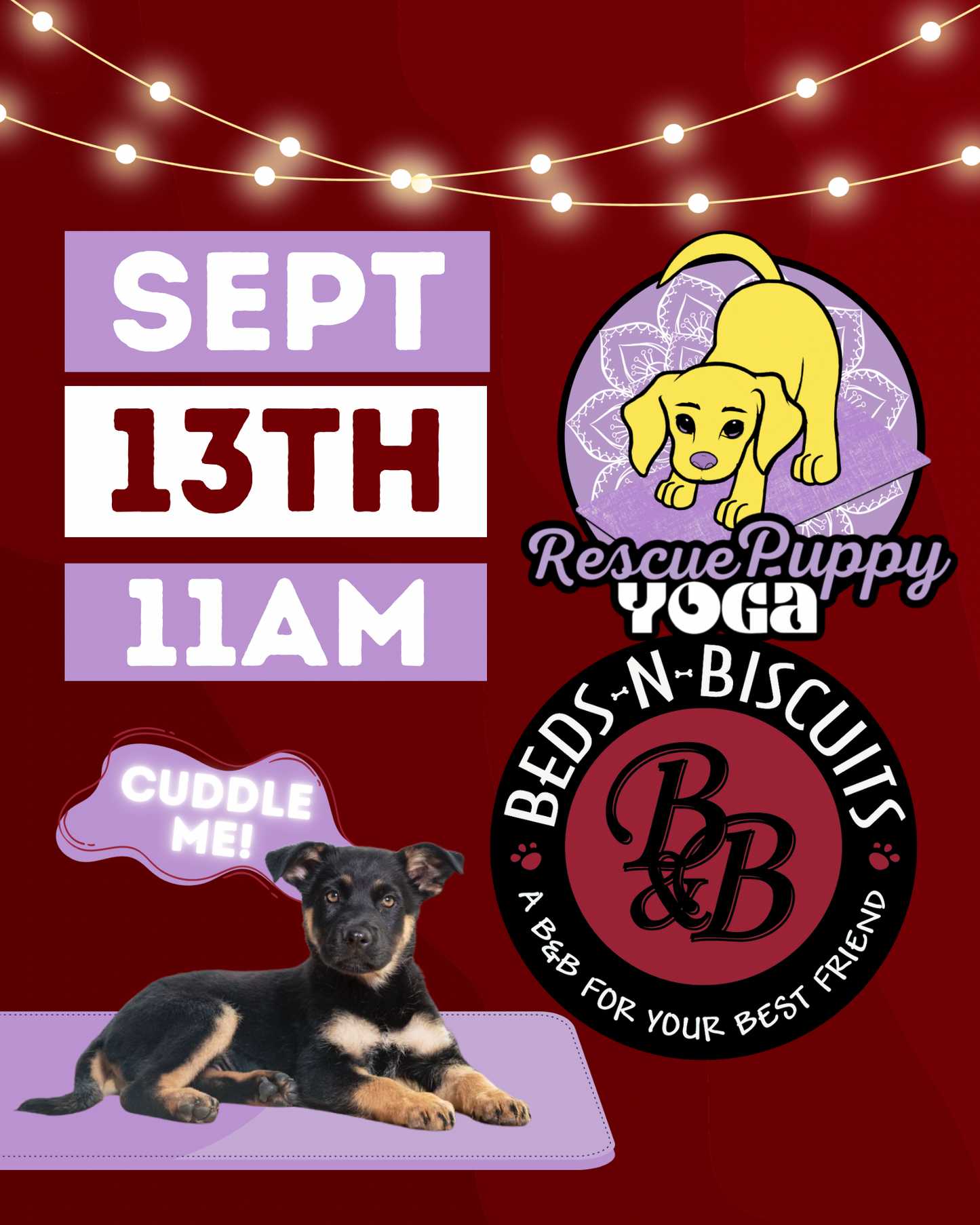 Rescue Puppy Yoga - Beds-N-Biscuits