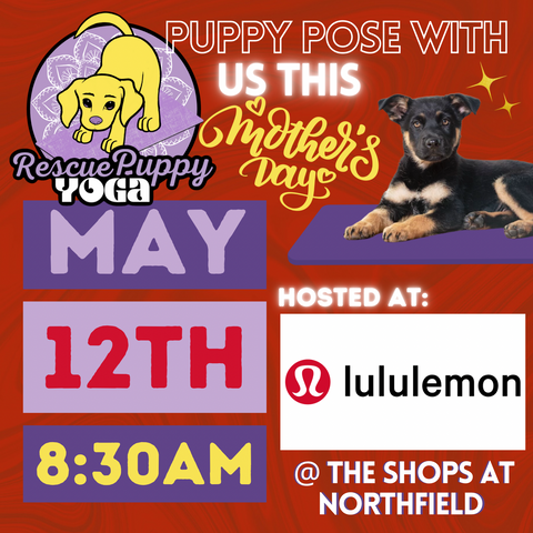 Rescue Puppy Yoga - Lululemon @ The Shops at Northfield