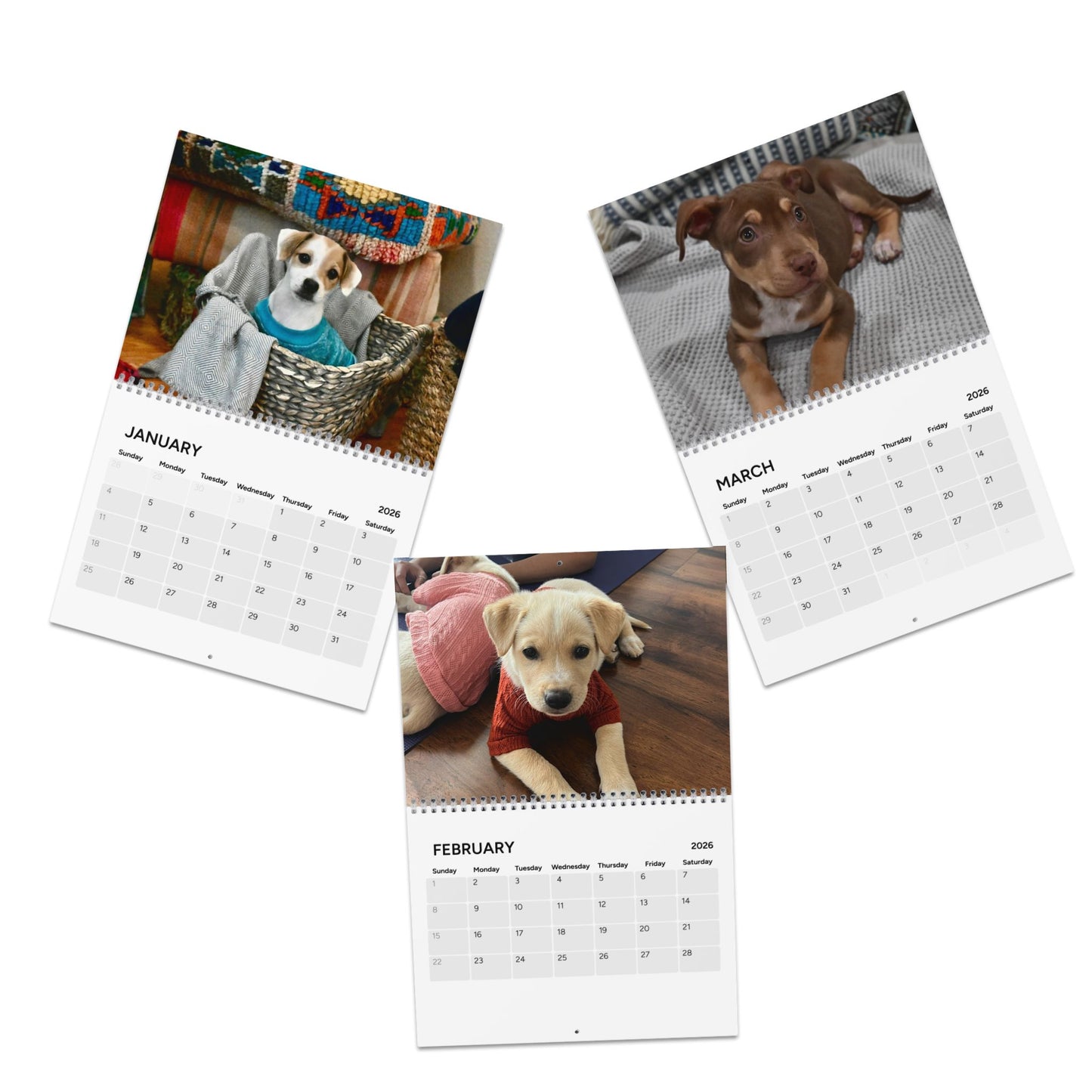 2026 Rescue Puppy Wall Calendar – Monthly Pet Photo Calendar