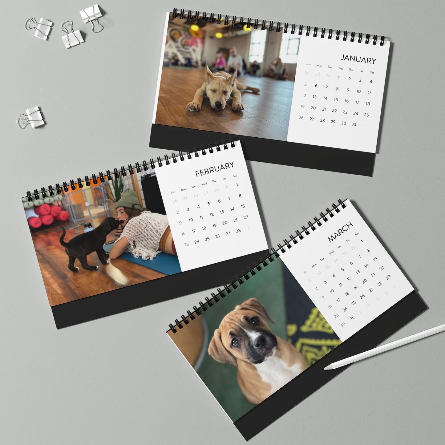 Rescue Puppy Yoga Desktop Calendar 2025