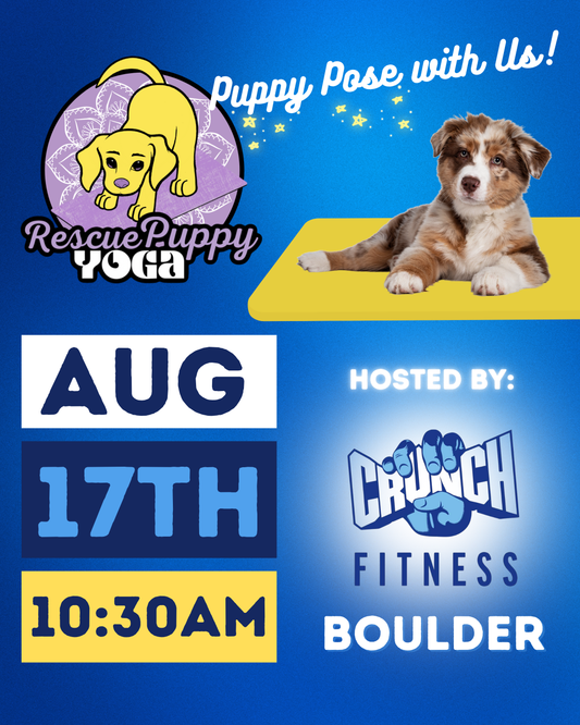 Rescue Puppy Yoga - Crunch Boulder
