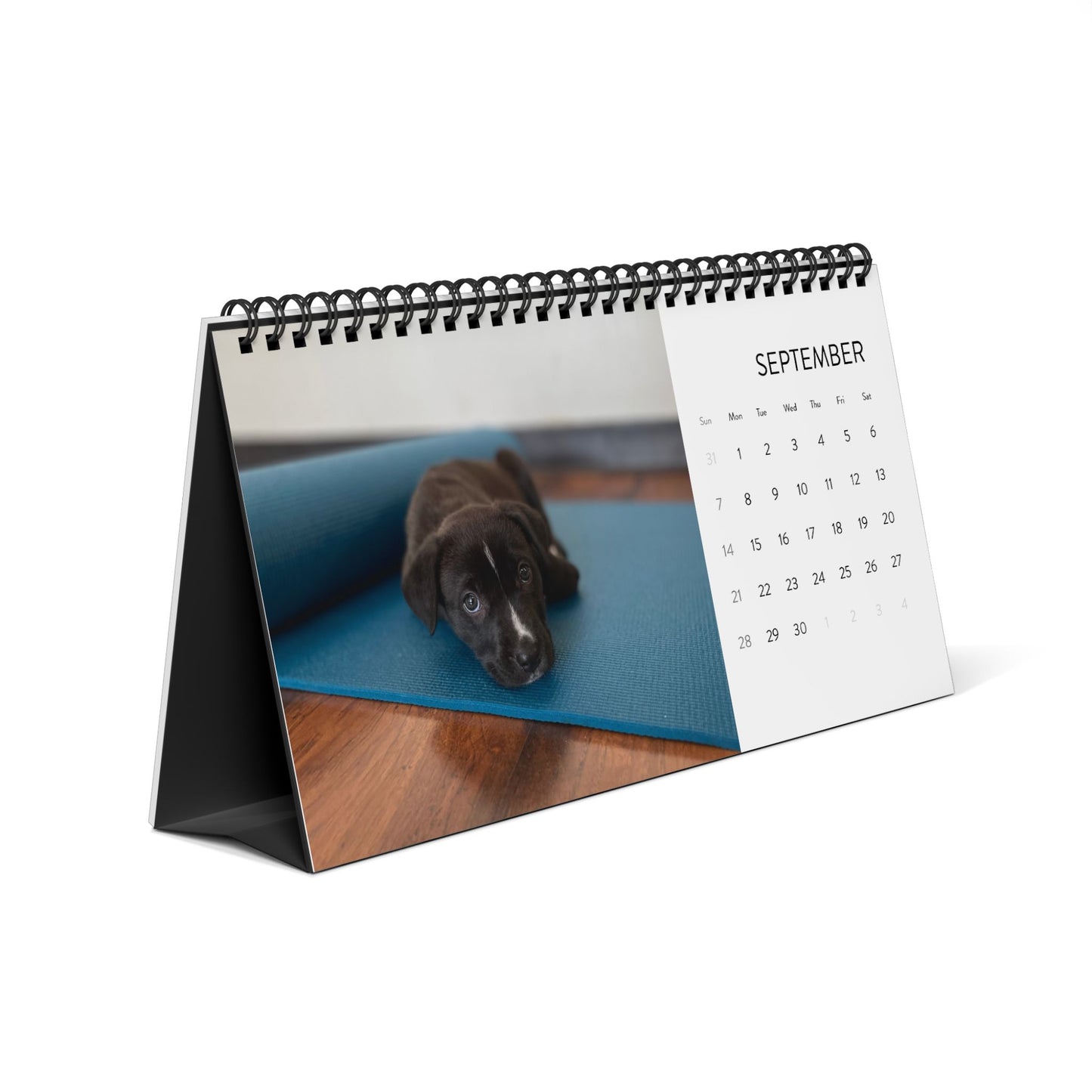 Rescue Puppy Yoga Desktop Calendar 2025