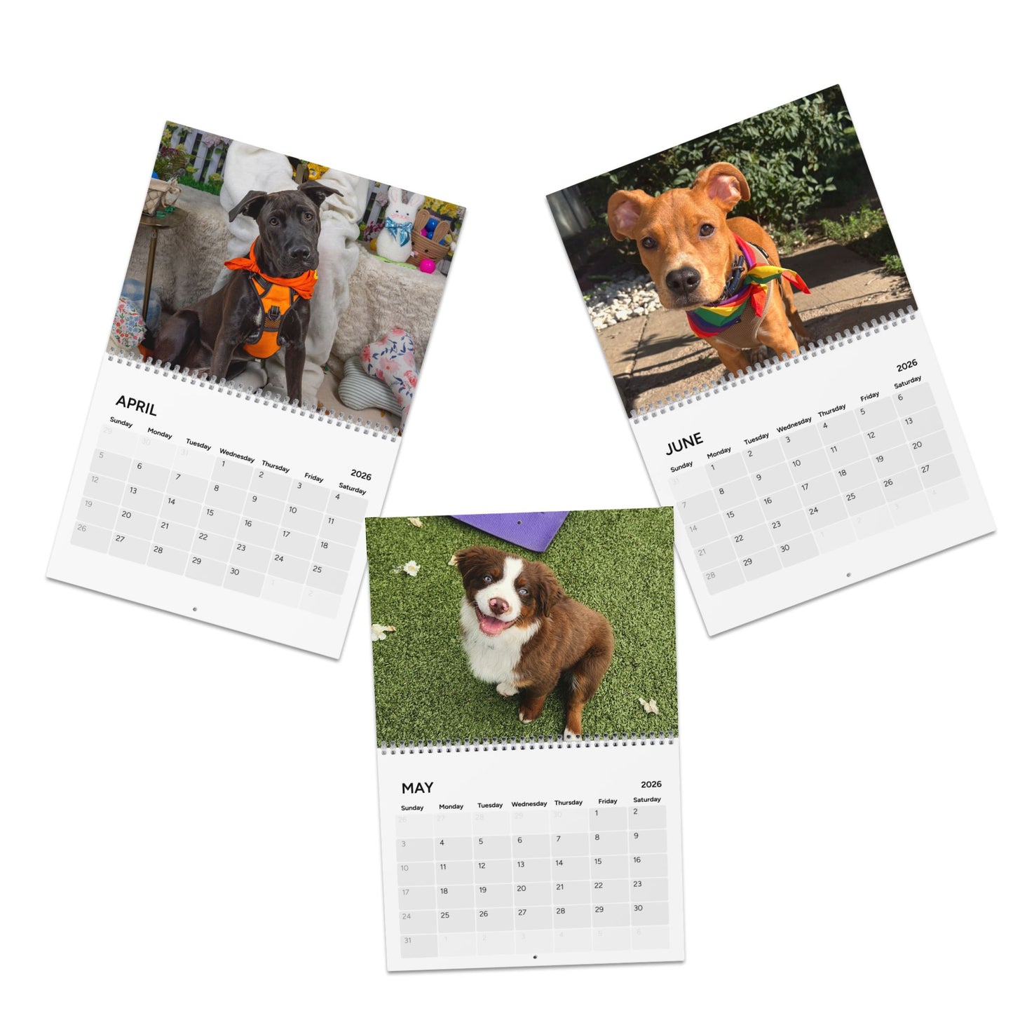 2026 Rescue Puppy Wall Calendar – Monthly Pet Photo Calendar
