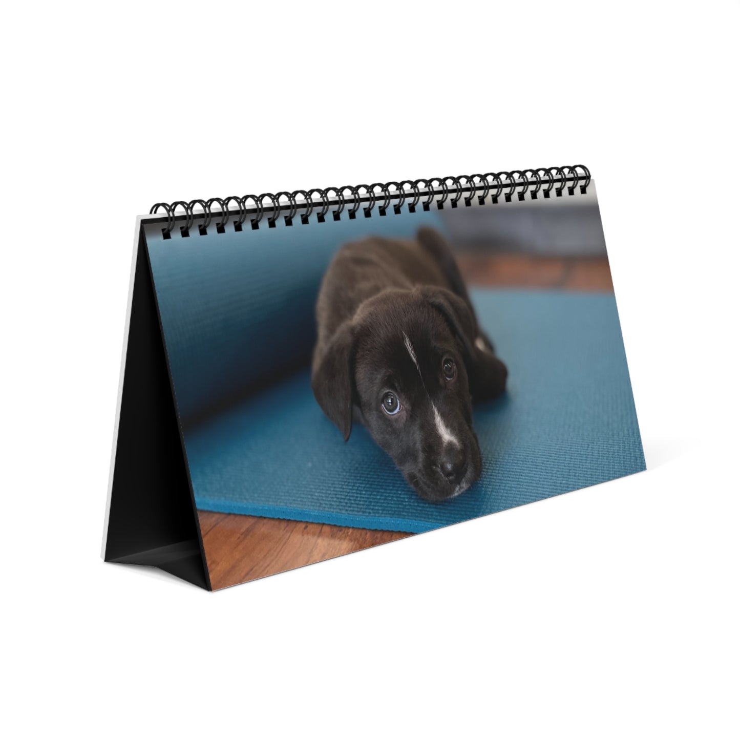 Rescue Puppy Yoga 2026 Desktop Calendar — Cute Dog Wall Planner