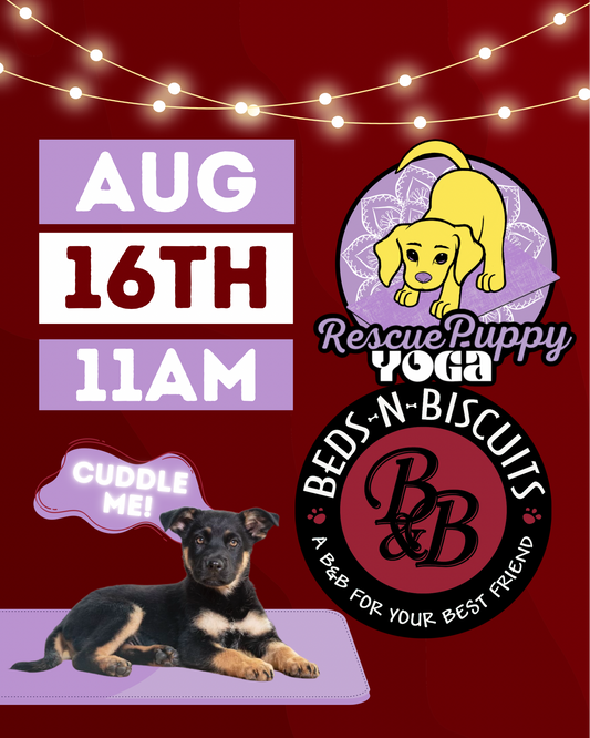 Rescue Puppy Yoga - Beds-N-Biscuits