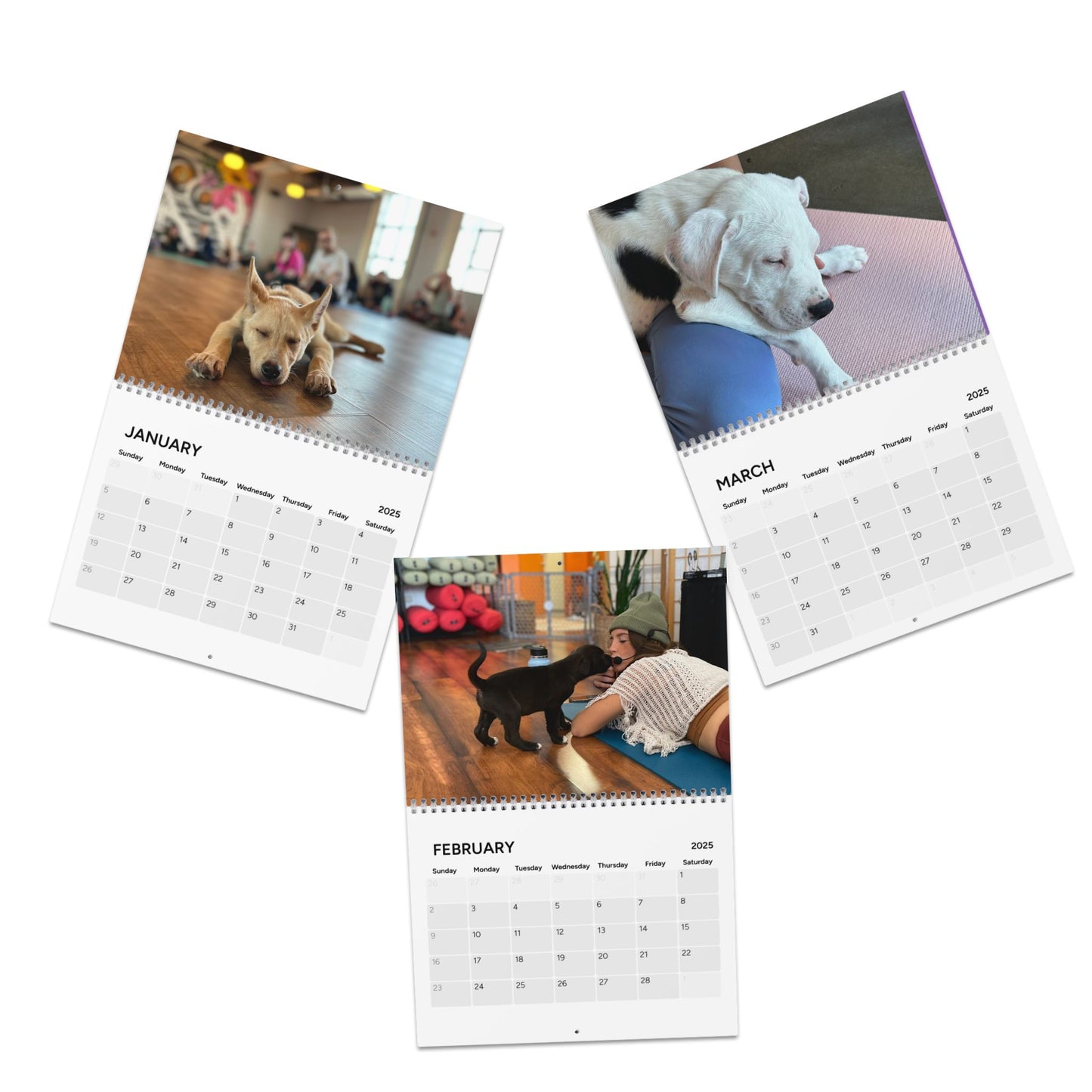 Rescue Puppy Yoga Wall Calendar (2025)