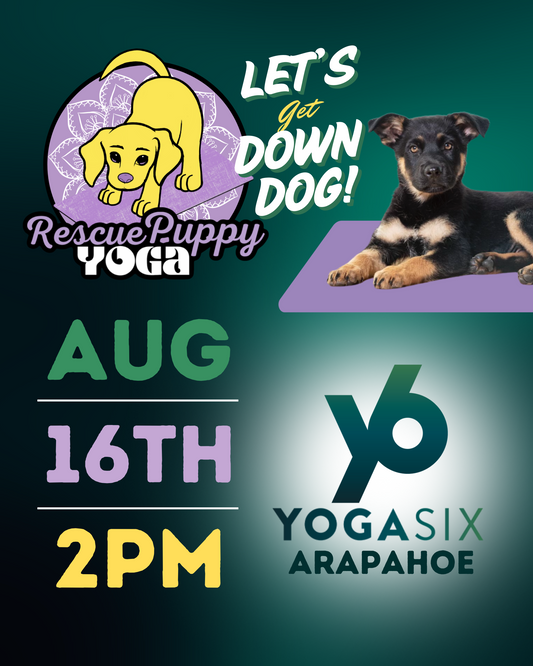 Rescue Puppy Yoga - YogaSix Arapahoe
