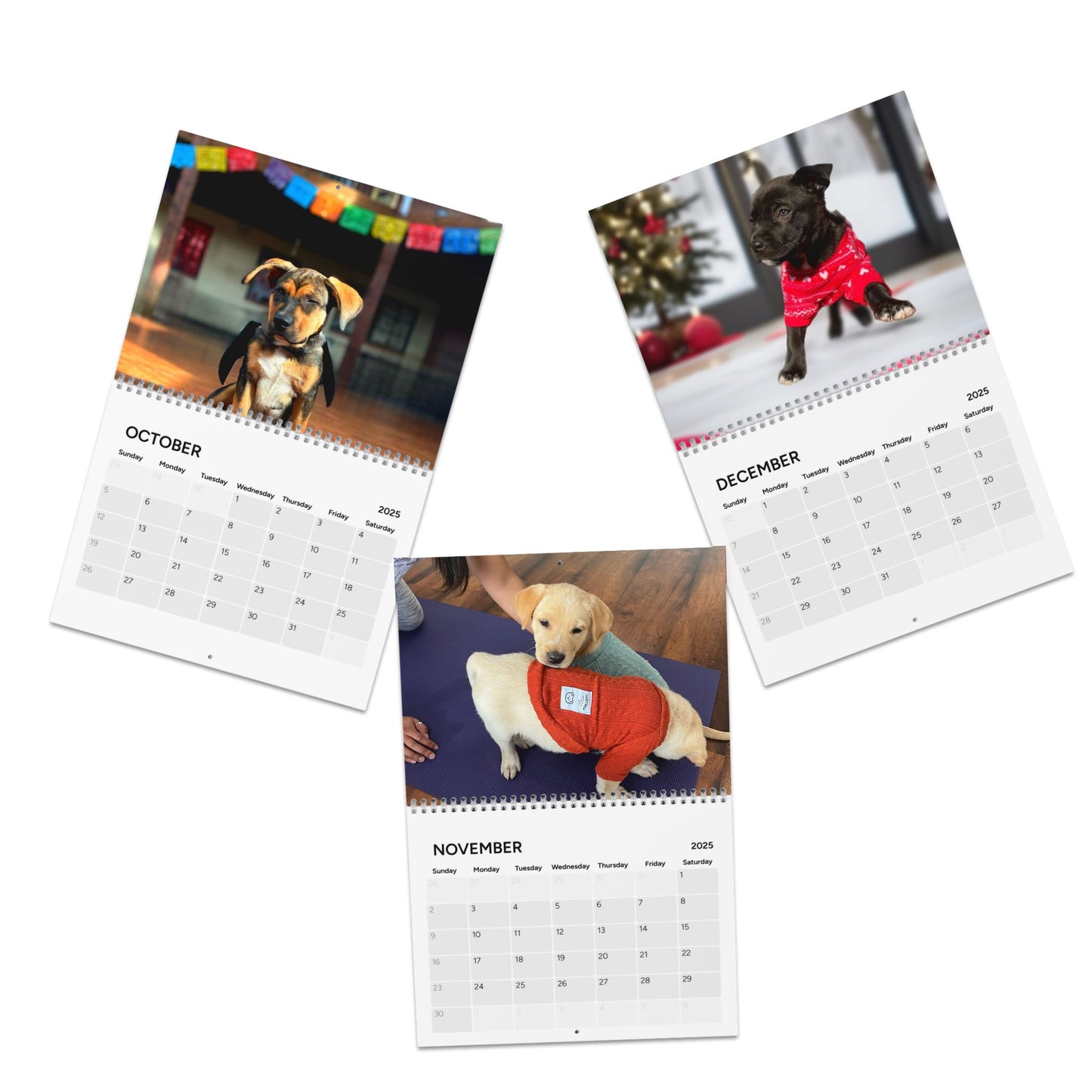 Rescue Puppy Yoga Wall Calendar (2025)