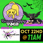 Rescue Puppy Yoga - Emotion Fitness 11am