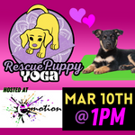 Rescue Puppy Yoga - Emotion Fitness 1pm