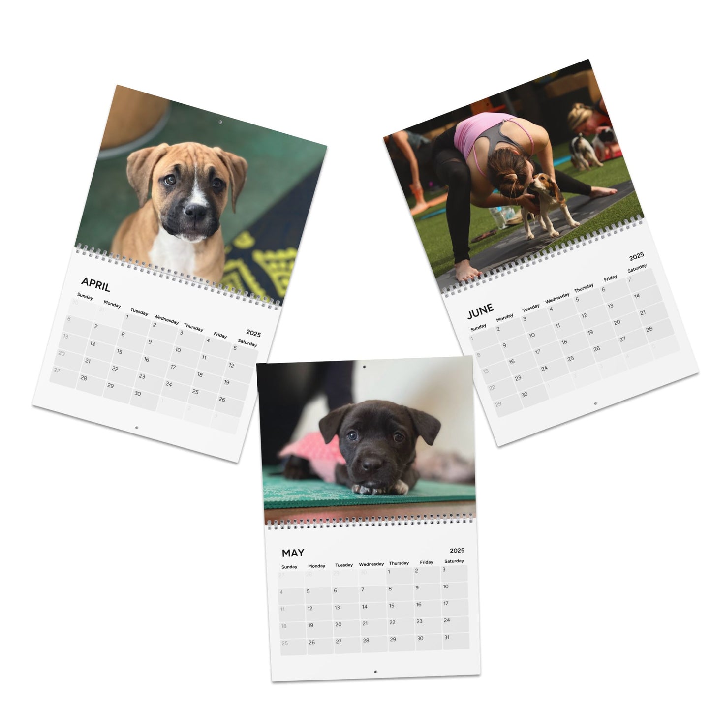 Rescue Puppy Yoga Wall Calendar (2025)