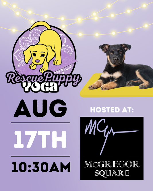 Rescue Puppy Yoga - McGregor Square