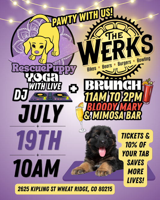 Rescue Puppy Yoga - The Werks