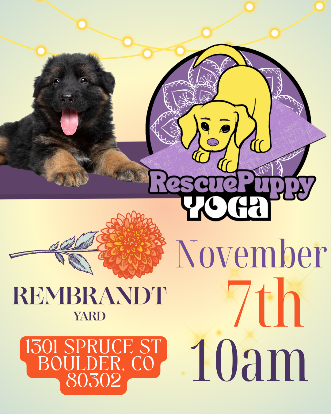 Rescue Puppy Yoga - Rembrandt Yard Boulder