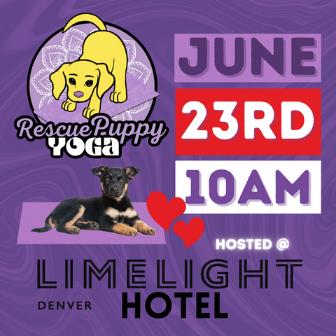 Rescue Puppy Yoga - Limelight Hotel