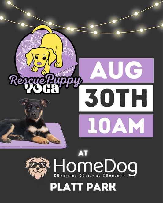 Rescue Puppy Yoga - HomeDog